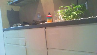 MarkFelicitas webcam model stream image
