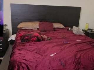 nynastax webcam model stream image