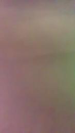 Bistrobest webcam cam4 model stream image