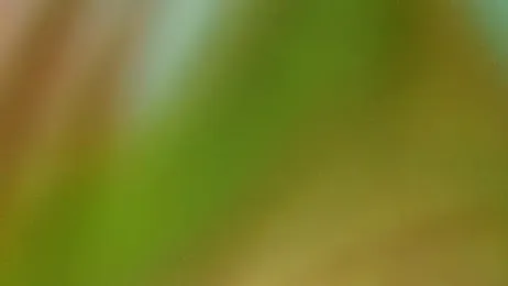 Tumblecockweed webcam stripchat model stream image