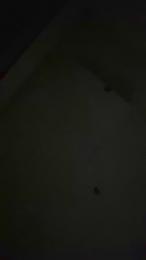 Bassking1993 webcam model stream image