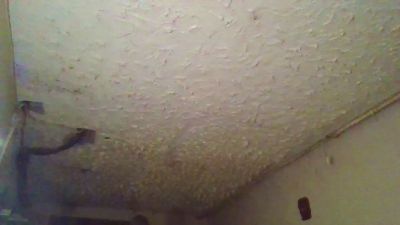 jesusjb24 webcam model stream image