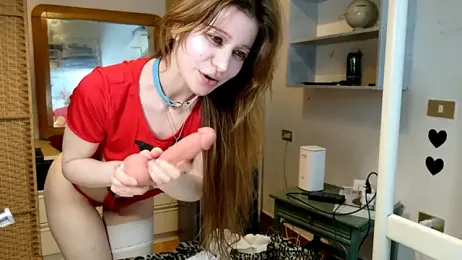 Miaelis webcam model stream image