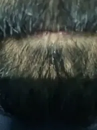 mightyythorrrr webcam stripchat model stream image