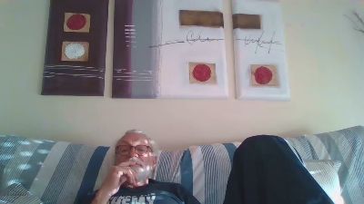 Leafars webcam model stream image