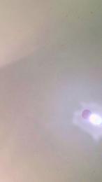 garbeilsrnxxx webcam model stream image