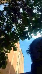 Hedagaricam webcam model stream image