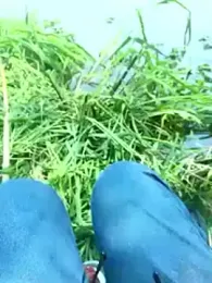 huzi518 webcam stripchat model stream image