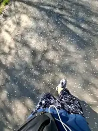 Ssk10N webcam model stream image