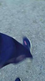 notarealman2025 webcam model stream image