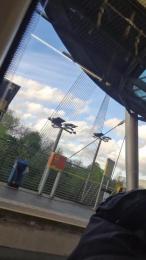 notarealman2025 webcam model stream image