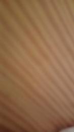 Trompa17 webcam model stream image