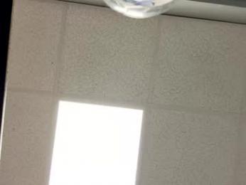 dblum75 webcam model stream image