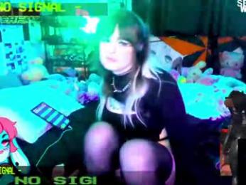 anchew webcam model stream image