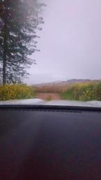 Gerontofilia webcam model stream image