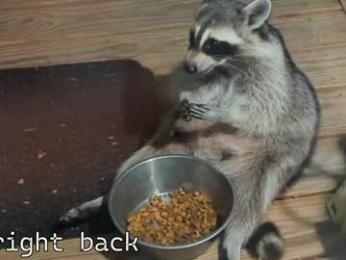 rndmzd webcam model stream image