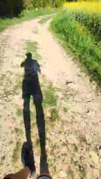 Legtiste webcam model stream image