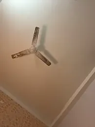 Goddess_sneha webcam model stream image