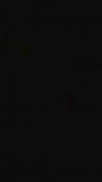 pucipuci webcam cam4 model stream image