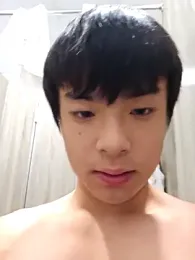 qvq1008 webcam model stream image