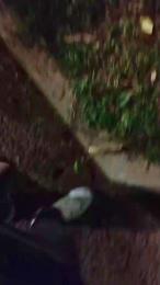 Sexylatinogay webcam model stream image