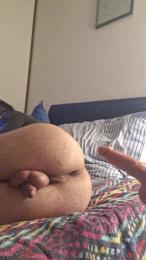 SchiavoCEI webcam model stream image