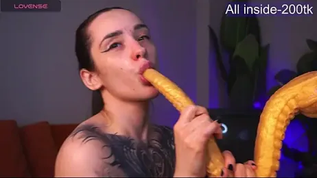 EvaCanton webcam model stream image