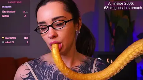 EvaCanton webcam model stream image