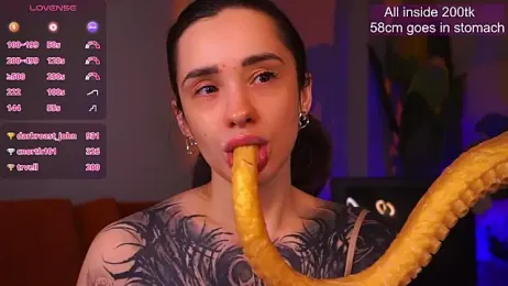 EvaCanton webcam model stream image