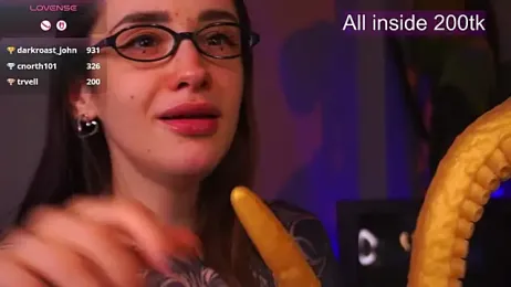 EvaCanton webcam model stream image