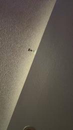 yannapinkpussy webcam model stream image