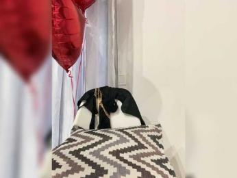 LineControl webcam model stream image