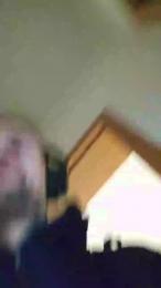 Lienlingsidiot webcam model stream image