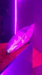 lucibadgrilxxx webcam model stream image