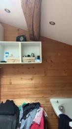 Zelda251 webcam model stream image