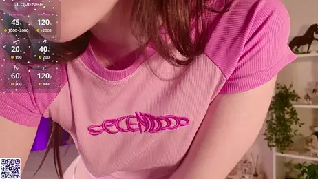 LeraKit webcam model stream image