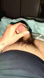 Stan9341 webcam model stream image