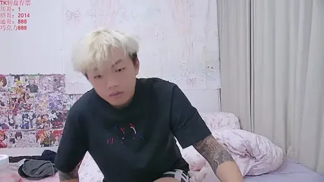 Chocolates-001 webcam model stream image