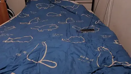 eva_zero webcam model stream image