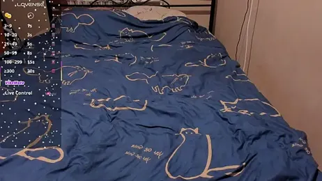 eva_zero webcam model stream image