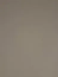 controlplay webcam stripchat model stream image