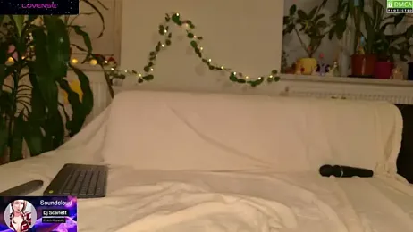 VenomVixen webcam stripchat model stream image