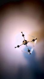 18Pomposita webcam model stream image