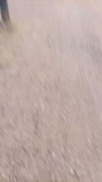 RoyalMaster_xxx webcam model stream image