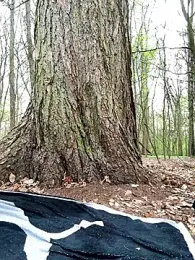 FayeFlame webcam model stream image