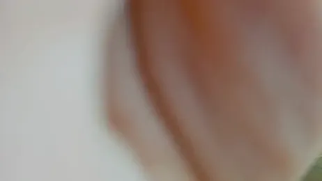 SweetPiggyx webcam stripchat model stream image