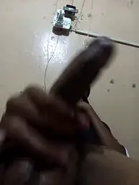 IssuedEcho webcam model stream image