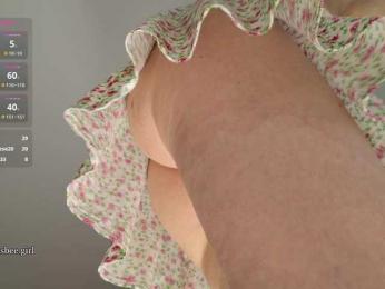 Visbee webcam bongacams model stream image