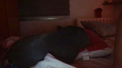 gorka19hot webcam model stream image