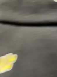 nide-laoshi webcam model stream image